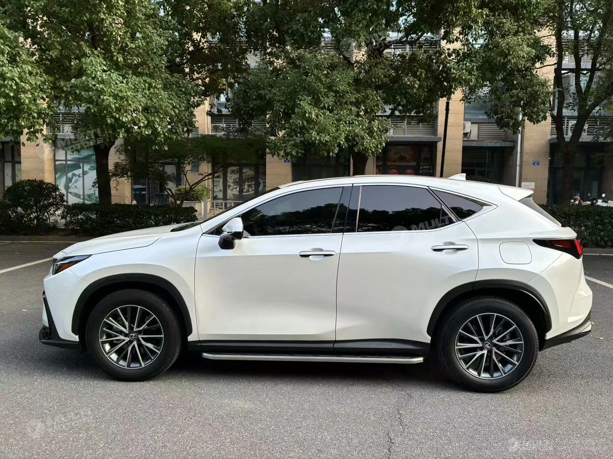  NX 260 FWD 10th Anniversary Special Limited