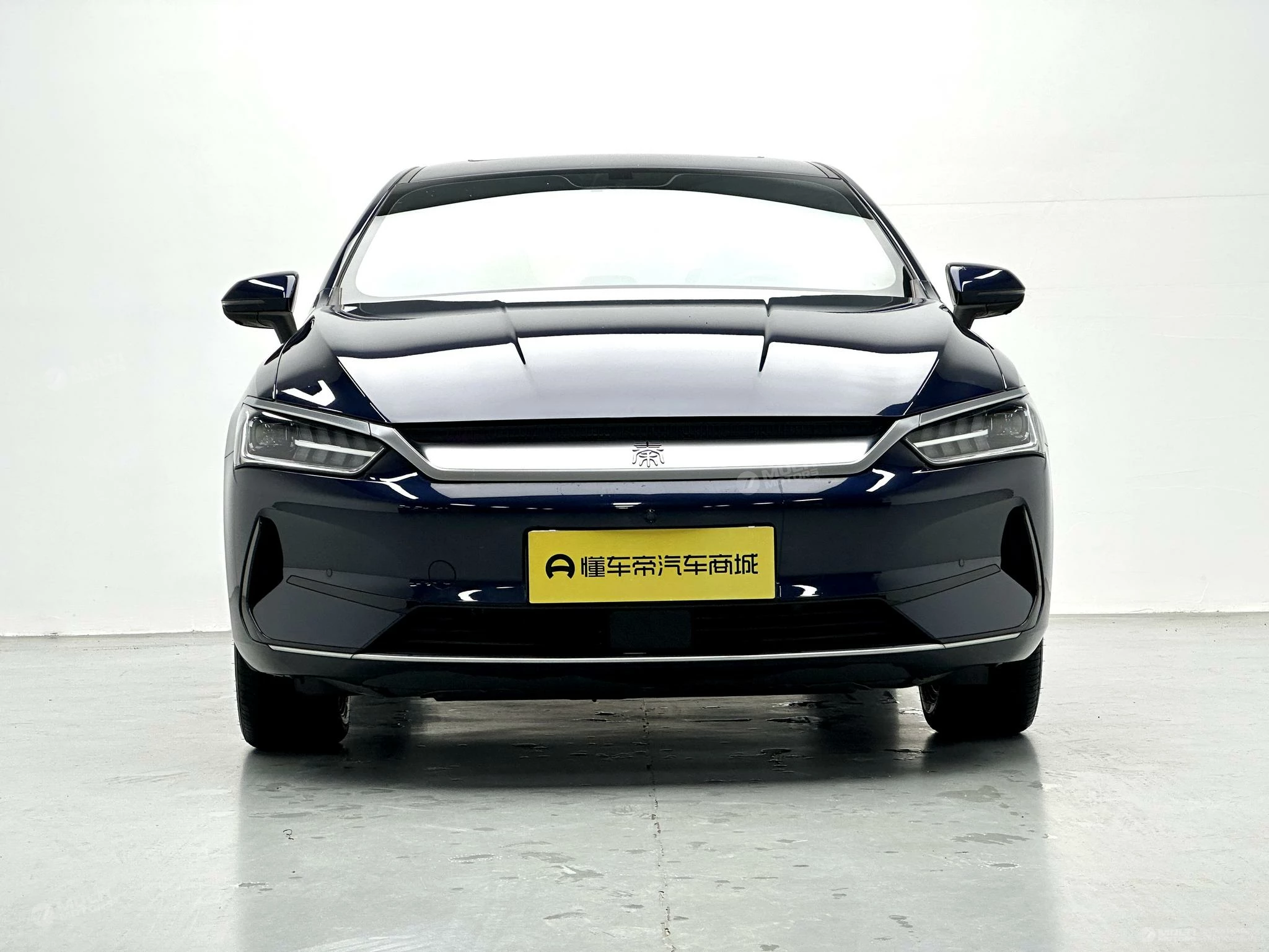  Qin Plus EV