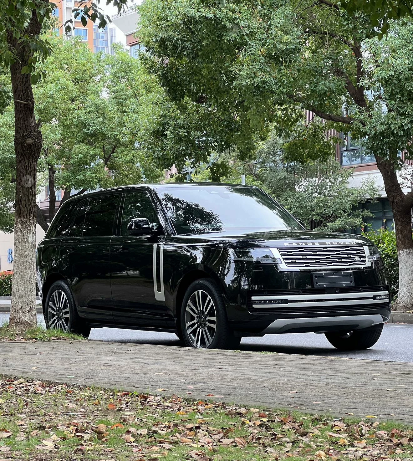  Range Rover 3.0 L6 400PS Genesis Extended