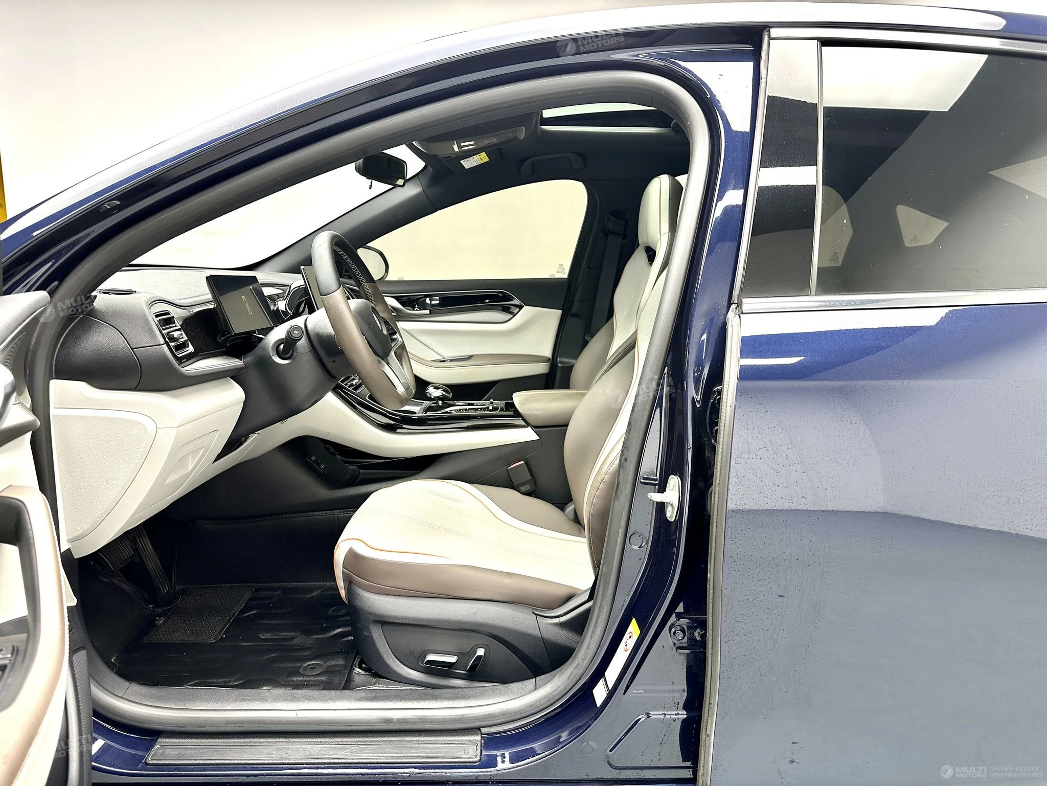  Qin Plus EV
