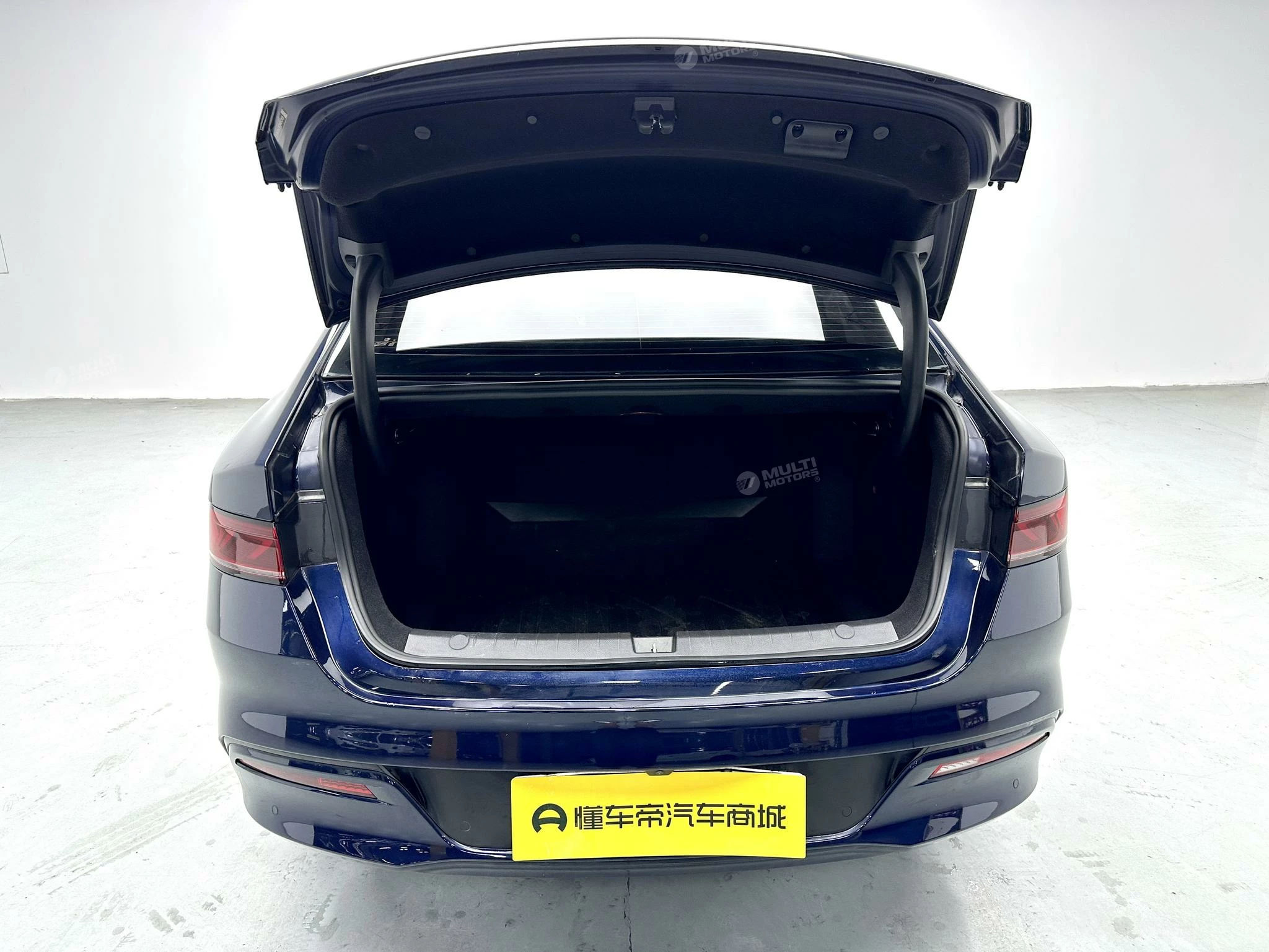  Qin Plus EV