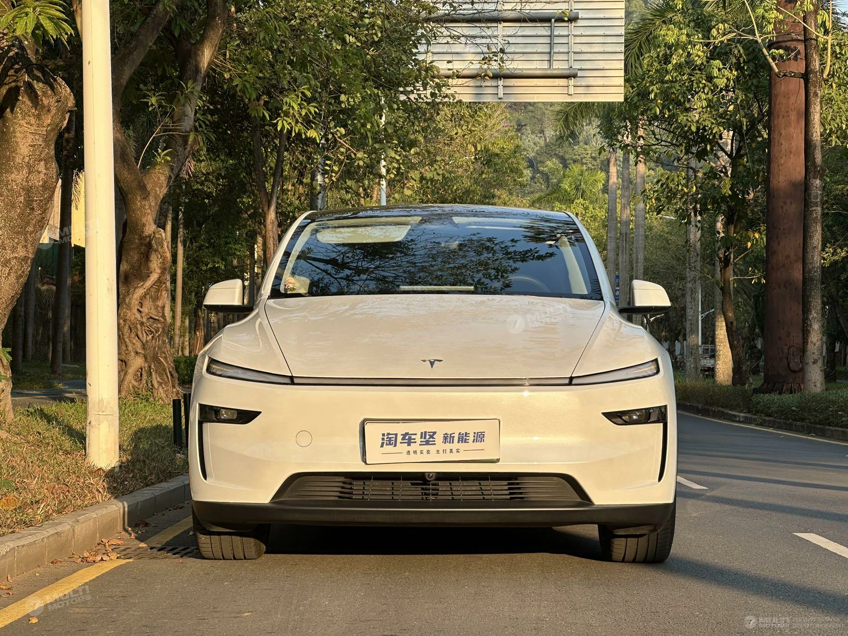  Model Y RWD