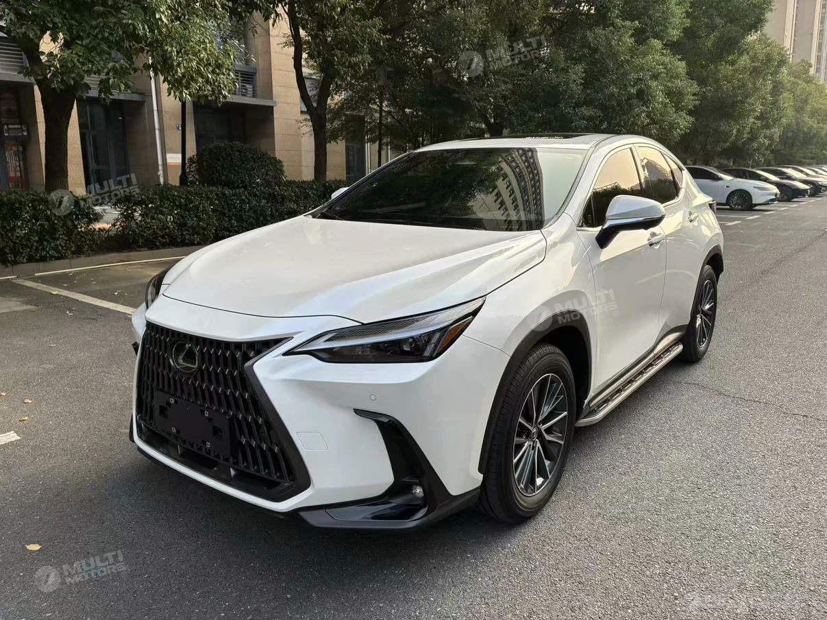  NX 260 FWD 10th Anniversary Special Limited