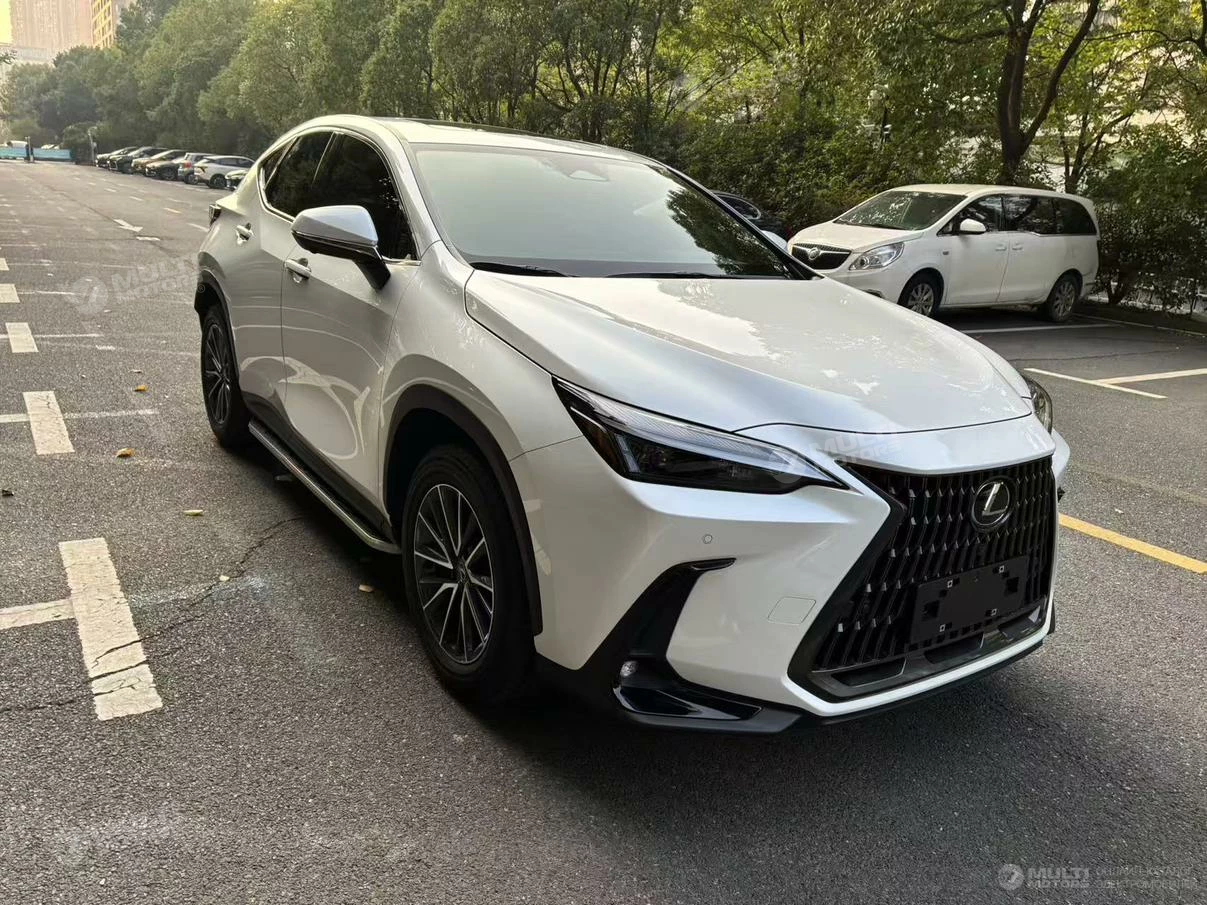  NX 260 FWD 10th Anniversary Special Limited