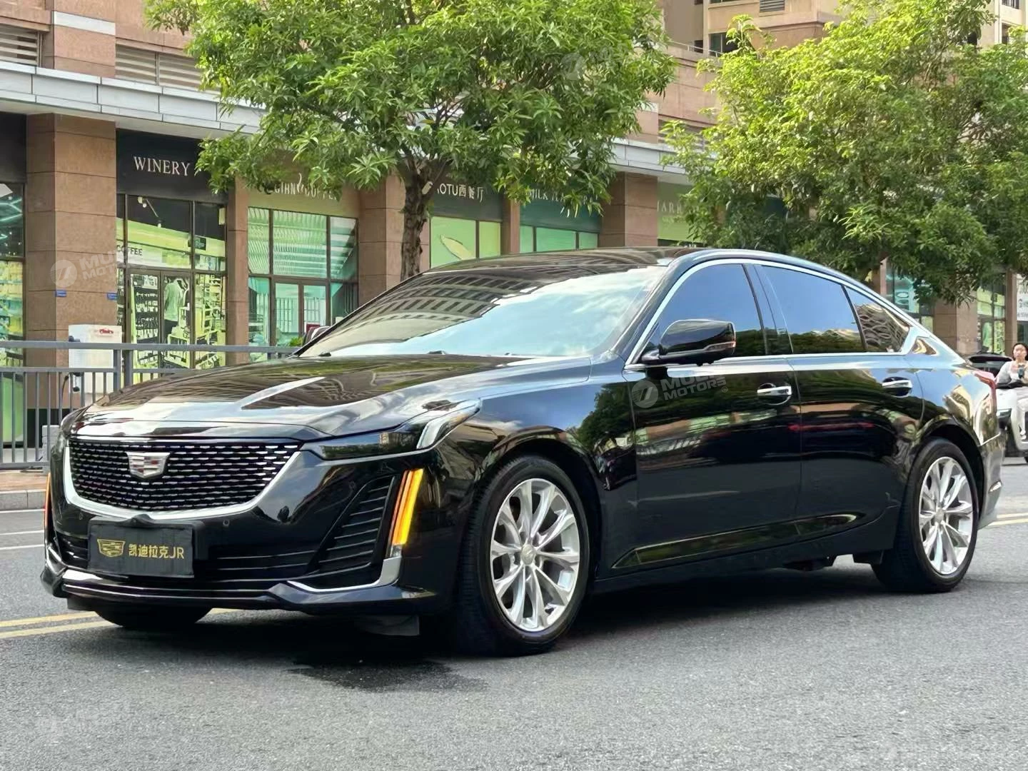  CT5 28T Luxury Standard