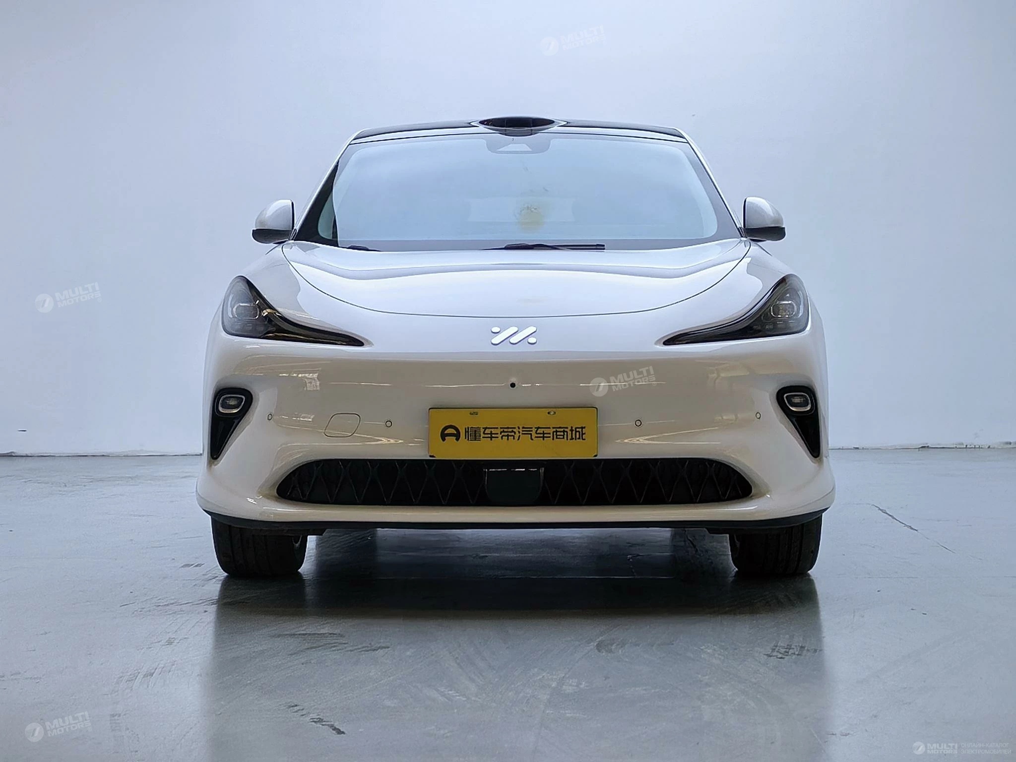  LS6 Spirit Lizard Smart Driving