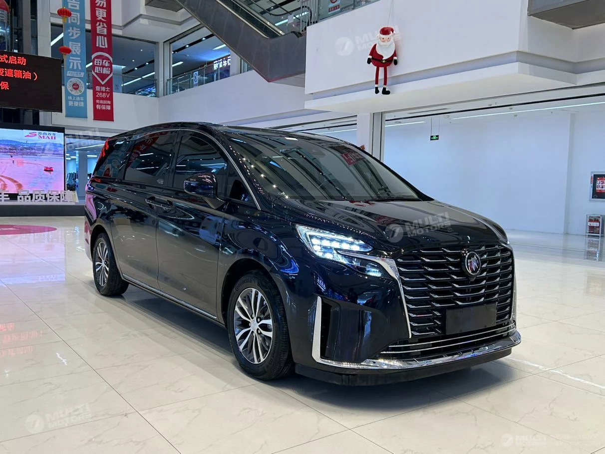  GL8 ES Lu Zun 2.0T Exclusive
