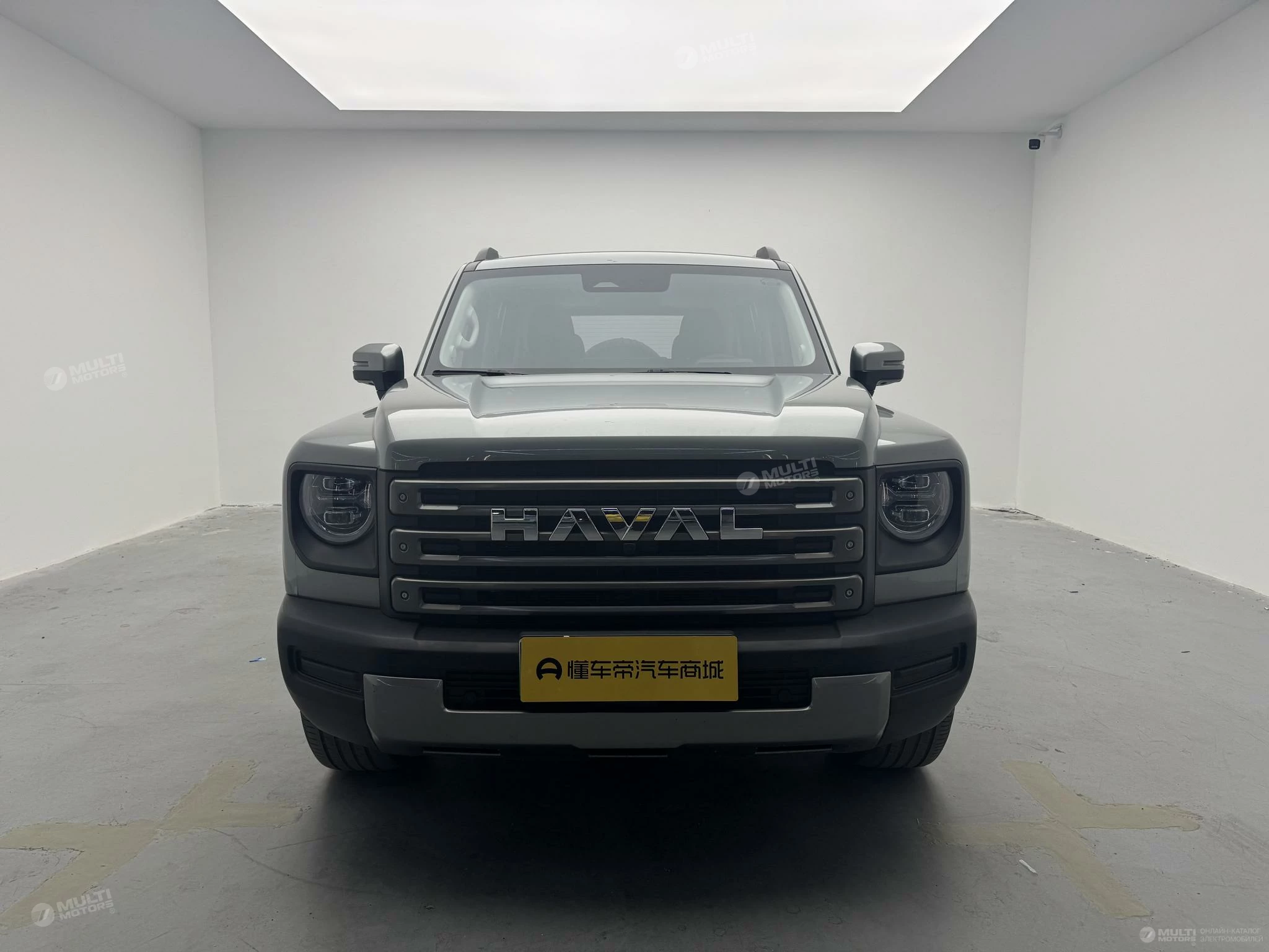  Raptor PHEV 1.5T Hi4 102 Pro