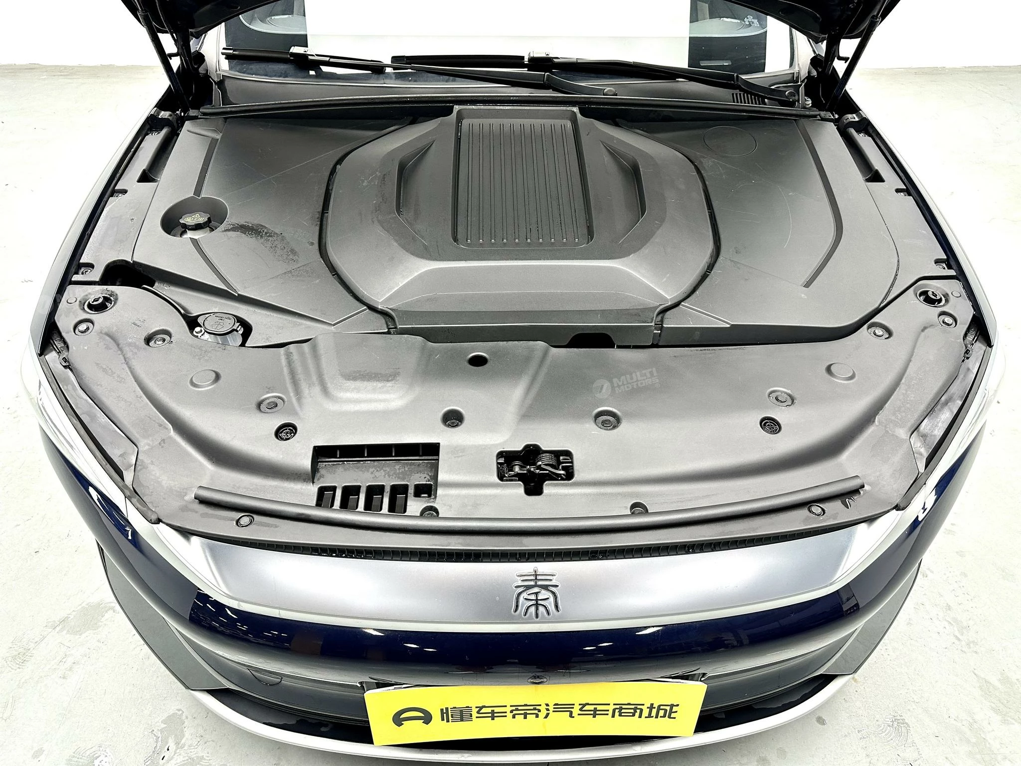  Qin Plus EV