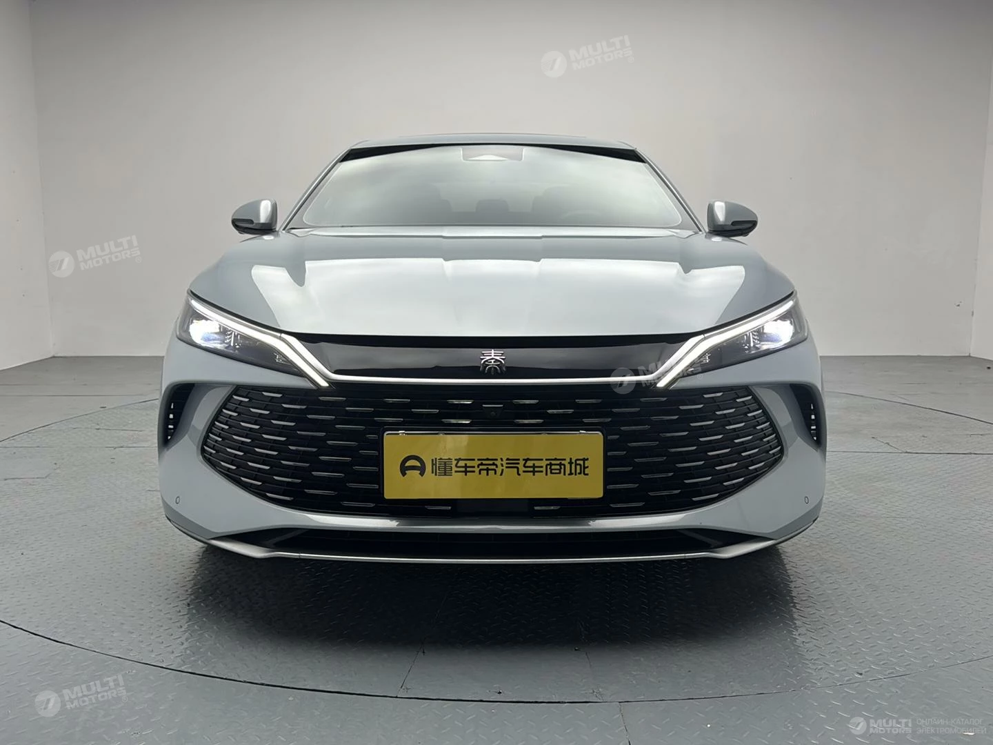  Qin L DM-i DM-i 120KM surpassing